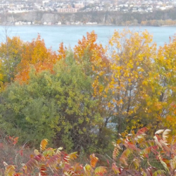 Plongée au cœur du pergélisol : expériences inédites au Québec